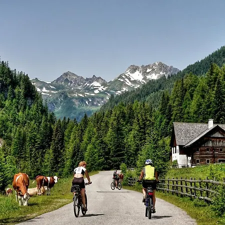 Haus Agnes, Murau