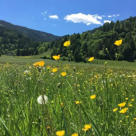 Haus Agnes, Διαμέρισμα