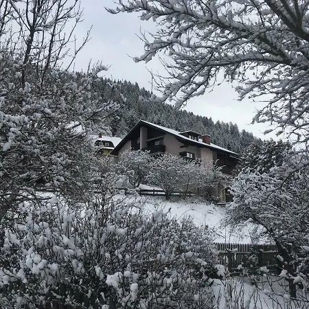 Haus Agnes, Murau