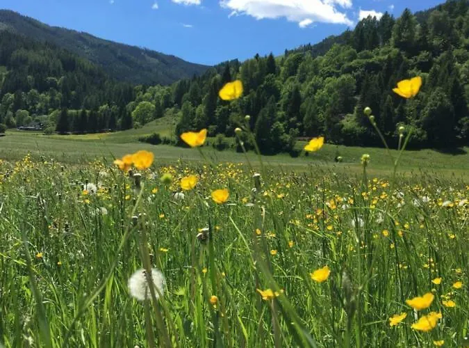 Haus Agnes, Apartman